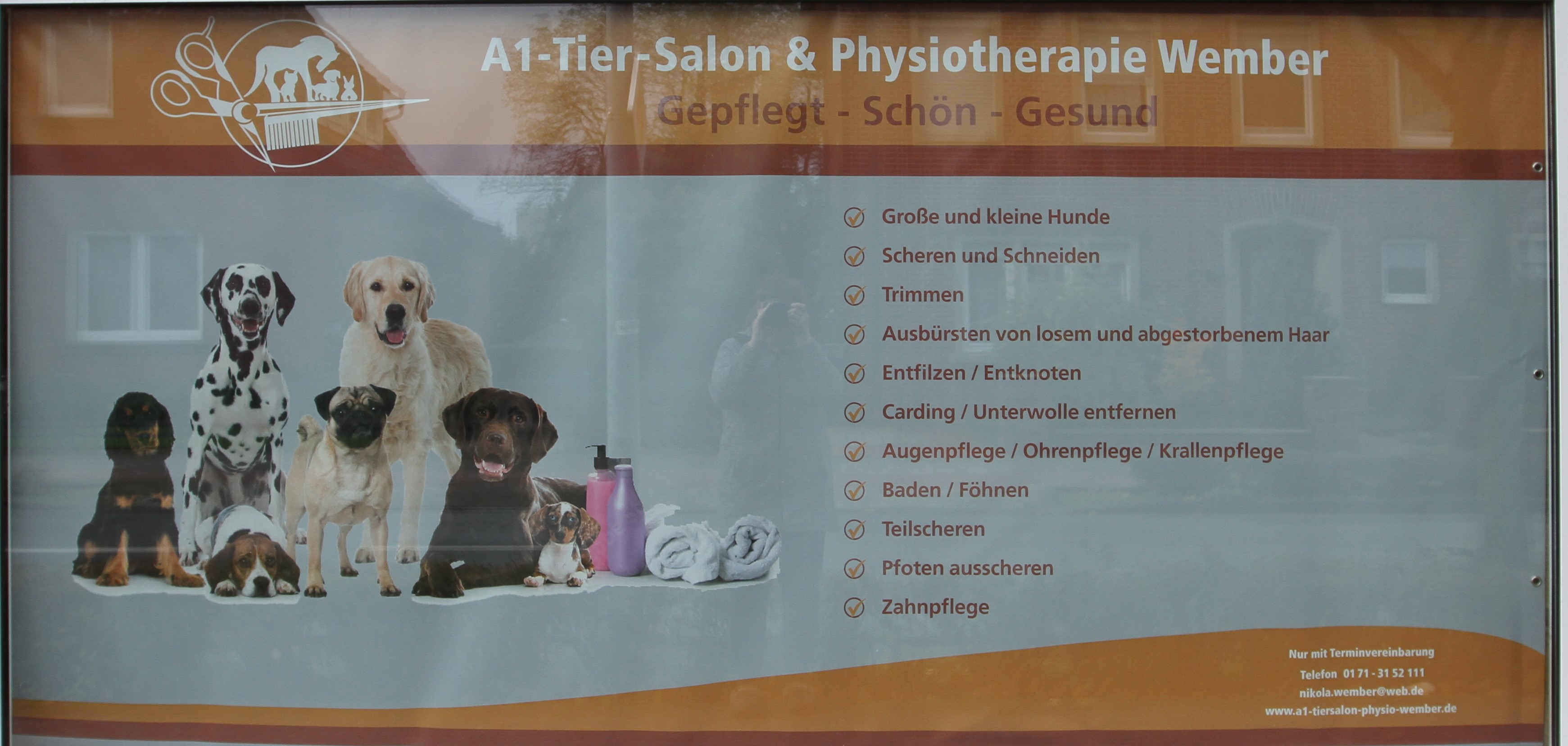 A1 Tier-Salon & Physiotherapie Wember