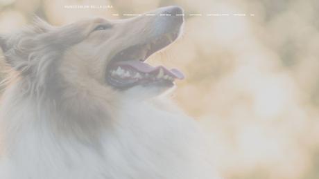 Hundesalon Bella Luna Natascha Mainka