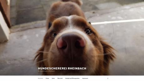 Hundeschererei Rheinbach
